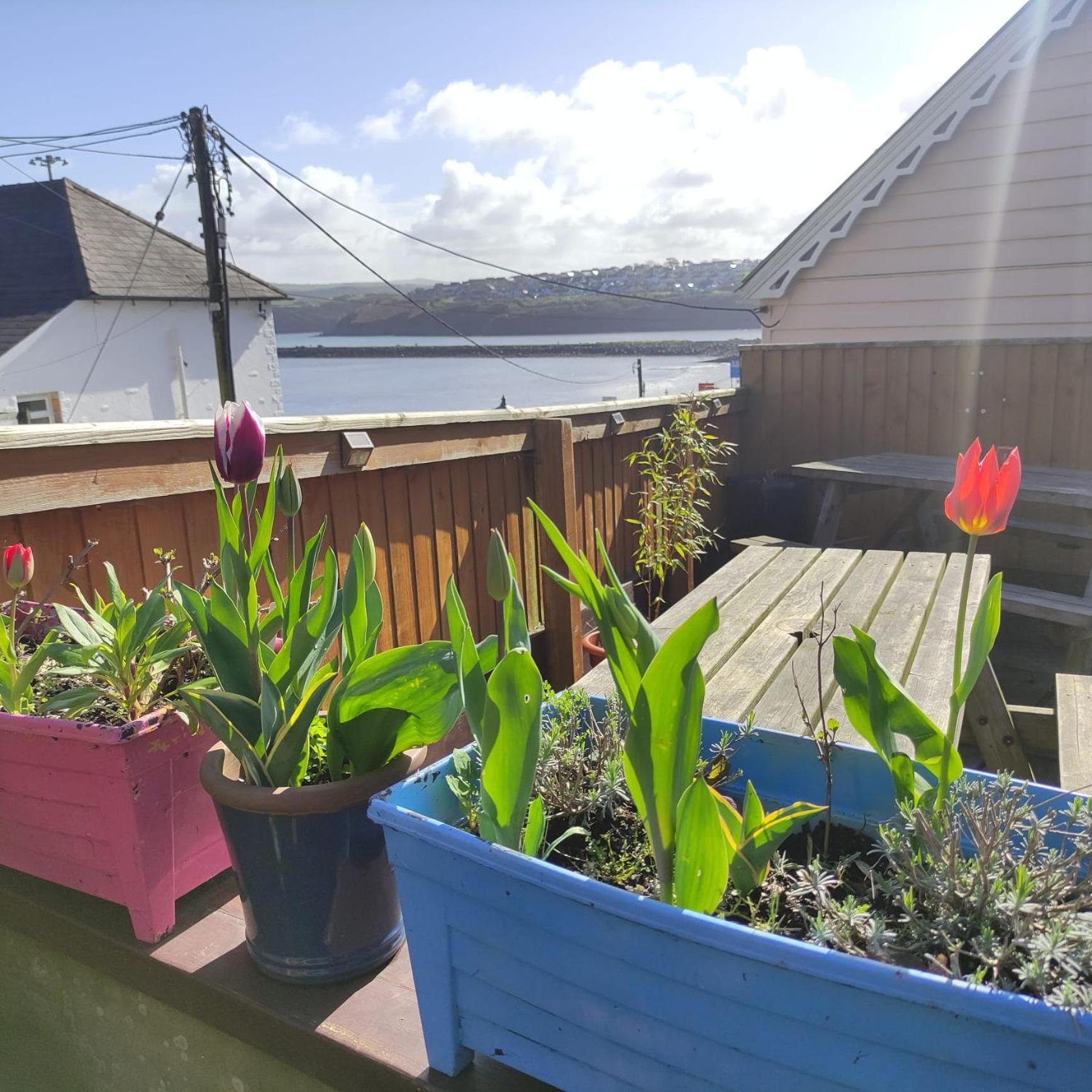 Rose And Crown Hotel & Hope And Anchor Bar Goodwick Exterior foto