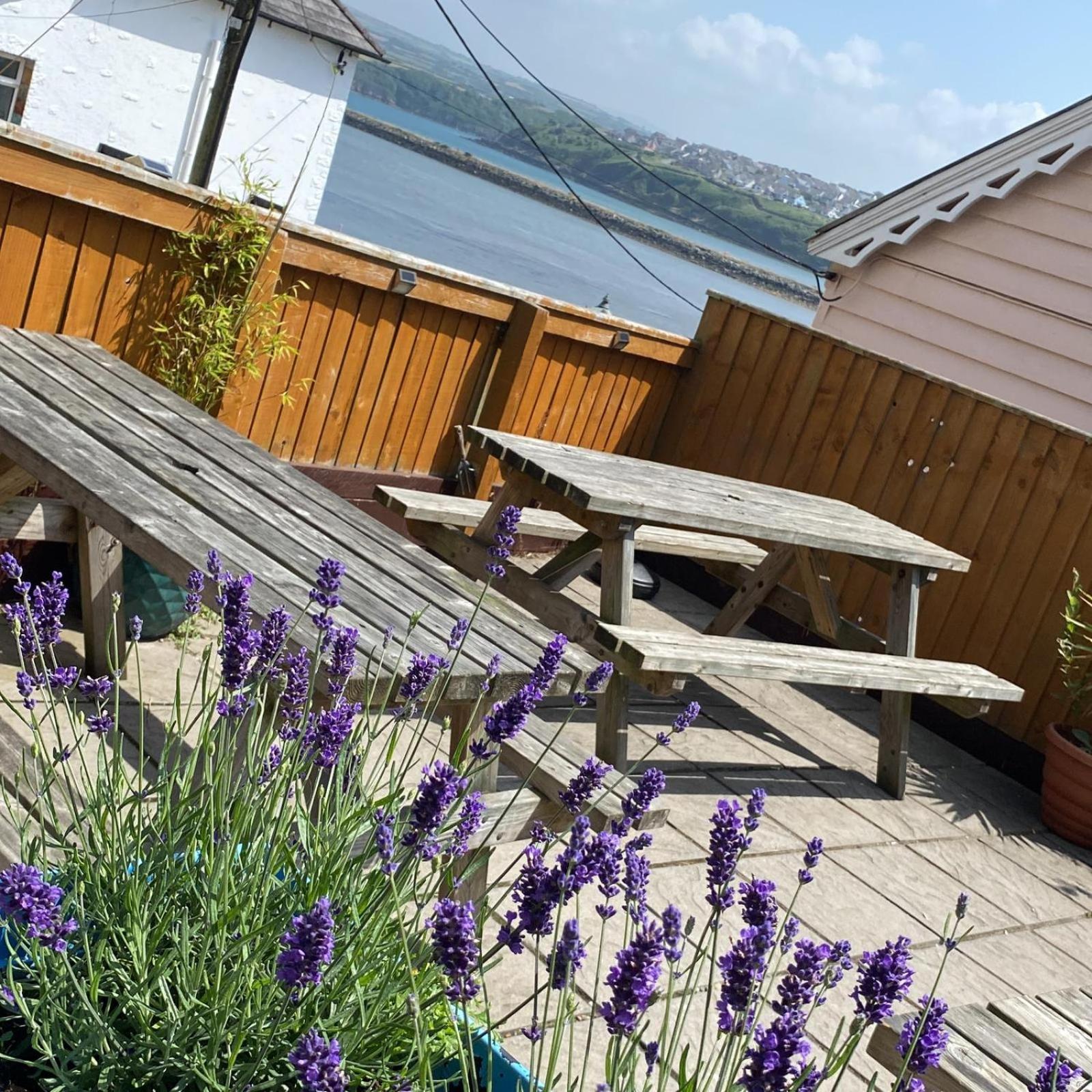 Rose And Crown Hotel & Hope And Anchor Bar Goodwick Exterior foto